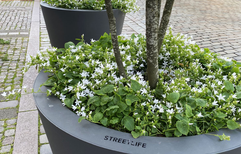 STADT NEUMÜNSTER: Mobiles Stadtmobiliar