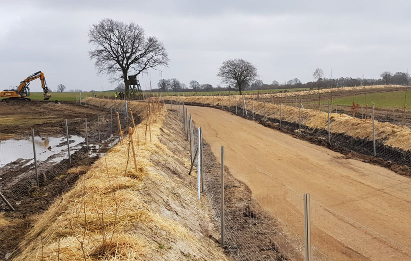 NETTELSEE-KLEIN BARKAU, Ausgleichspflanzungen für das LBV-SH Rendsburg